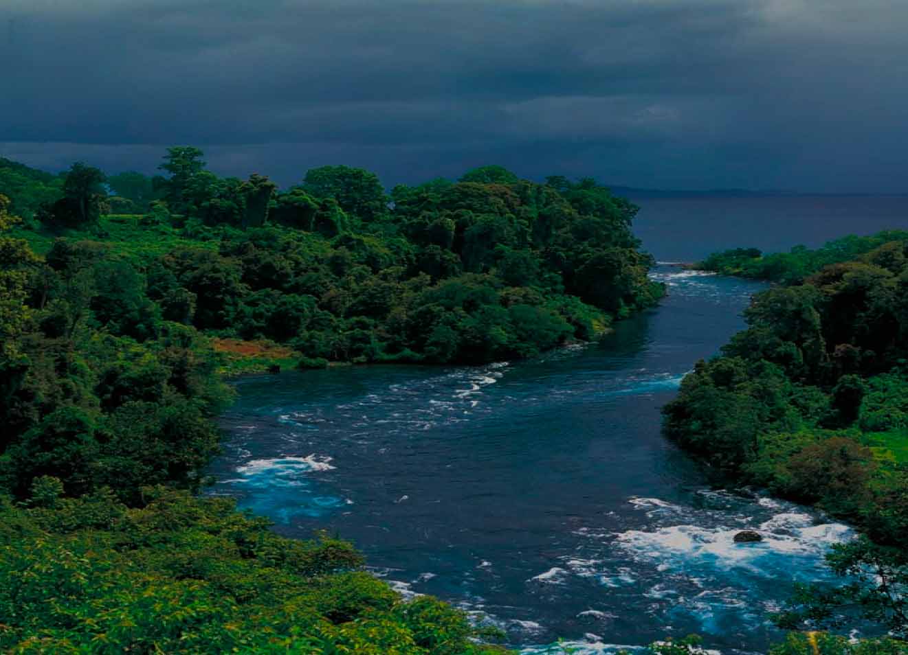 Paisaje verde con agua