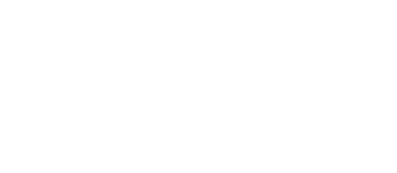 Logo WingDocs